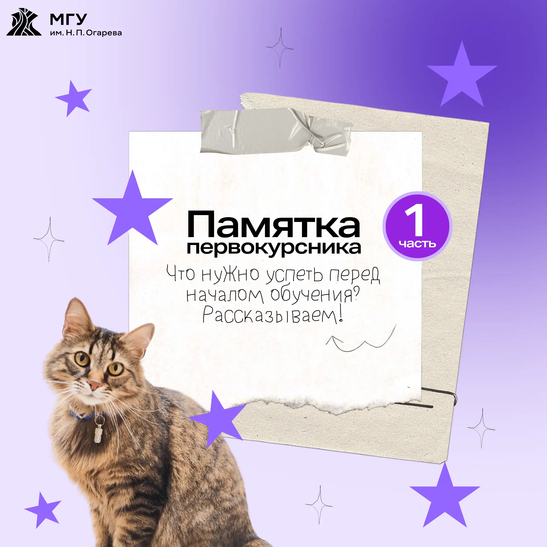 Не понимаешь, что делать дальше? Мы подскажем! 💪