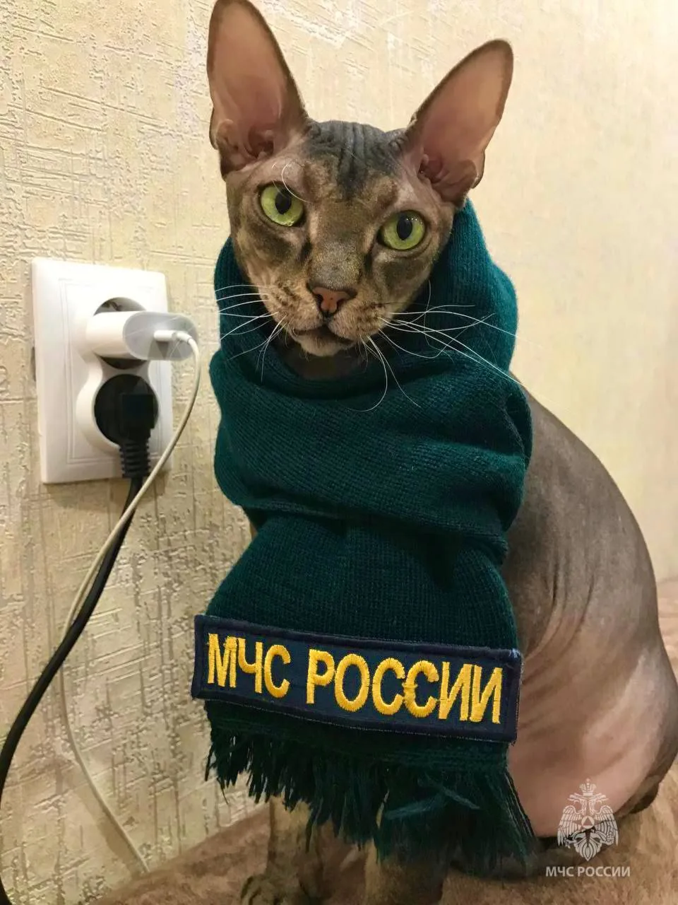 В период крещенских морозов следует быть особенно внимательным!