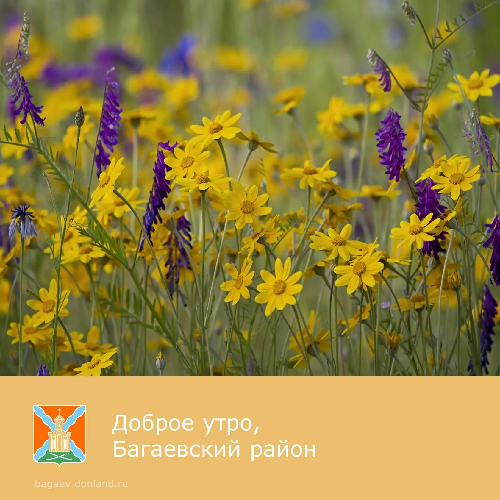 🌸 Доброе утро, уважаемые жители Багаевского района!  ➡️ Хороших, интересных и насыщенных приятными с