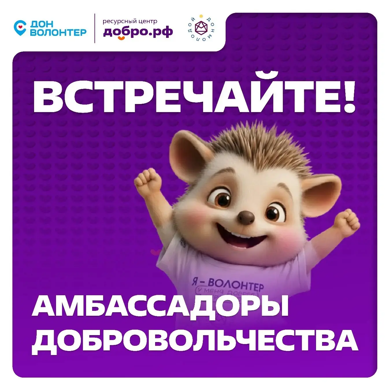Добро шагает по Донской земле!

💜 Мы рады представить Амбассадоров добровольчества – тех, кто проше
