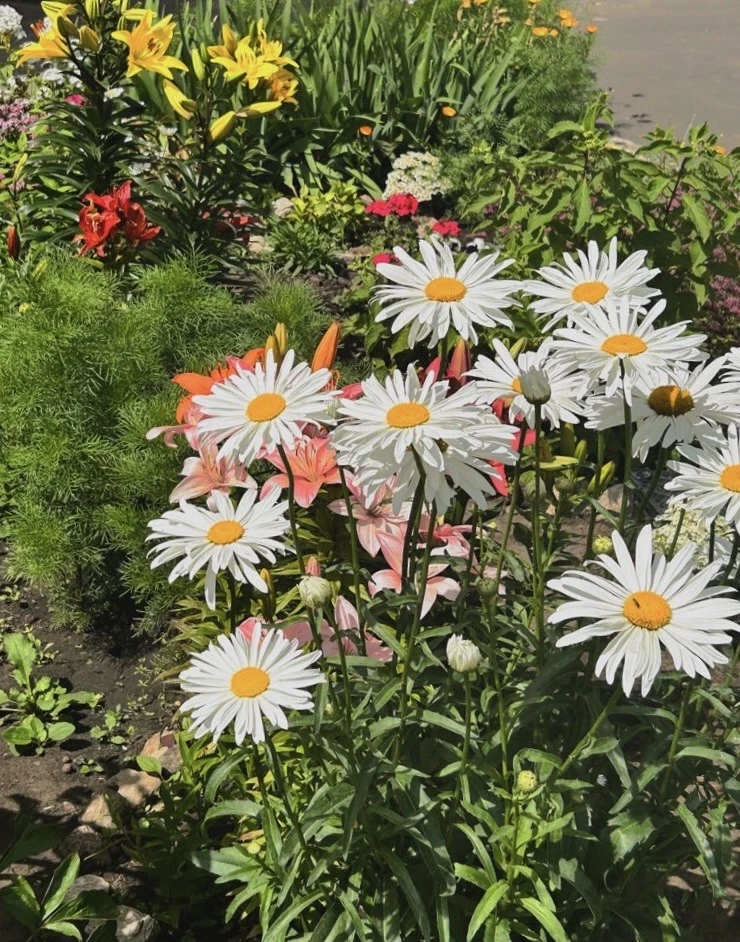 🌞Уважаемые жители!
