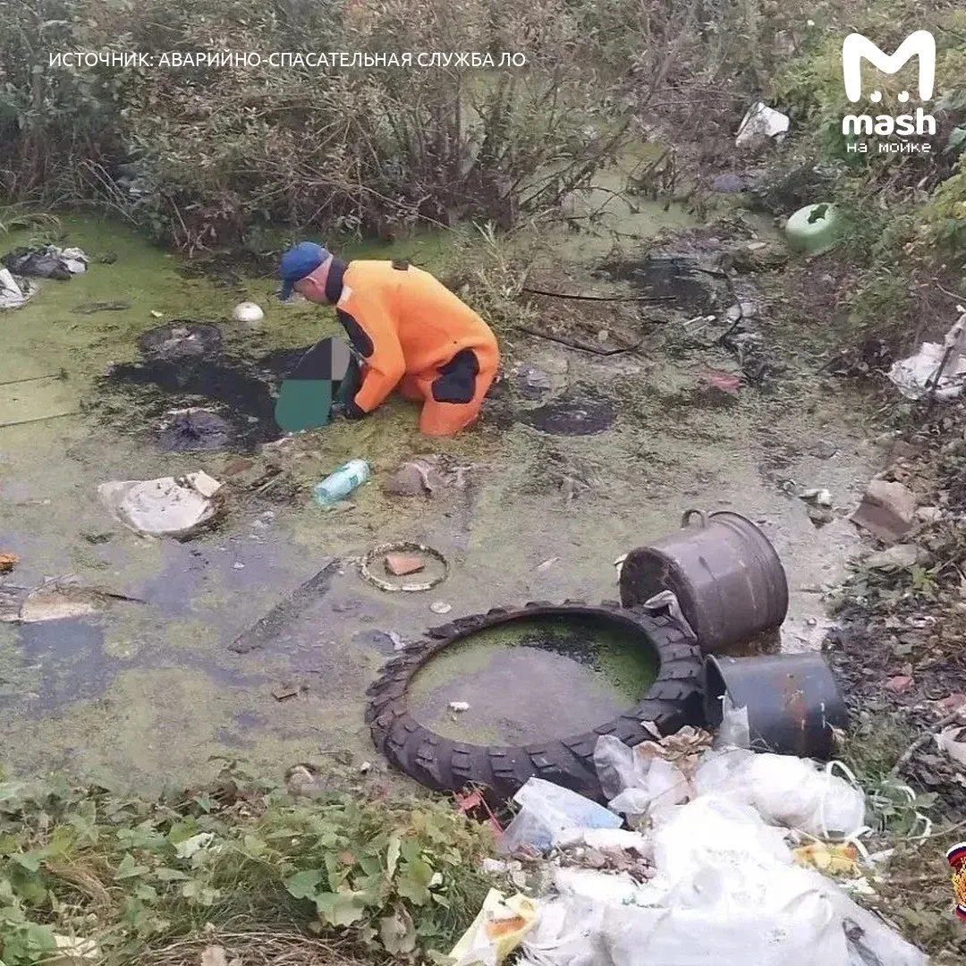 Видео и фото с места обнаружения тела мальчика — сына режиссёра нашли в пруду на террит...