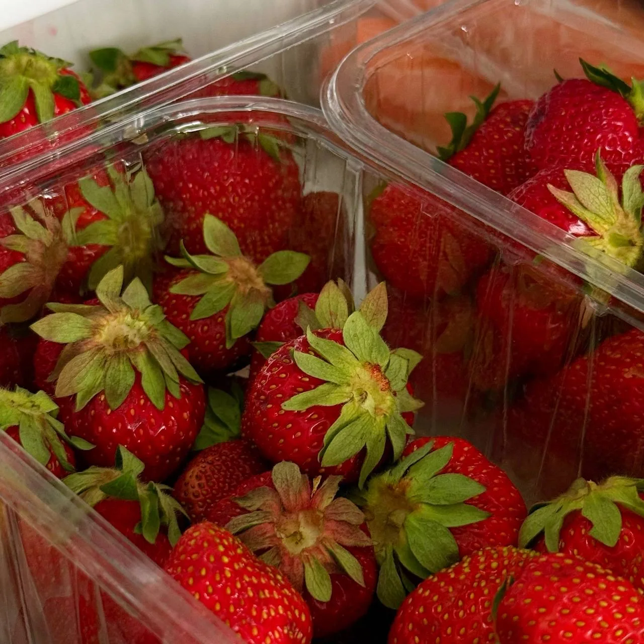 🍓 Вчера забрали первую в этом году клубничку! Целых 3 кг! Вот оно – счастье 🥰

Весь прошлый сезон 