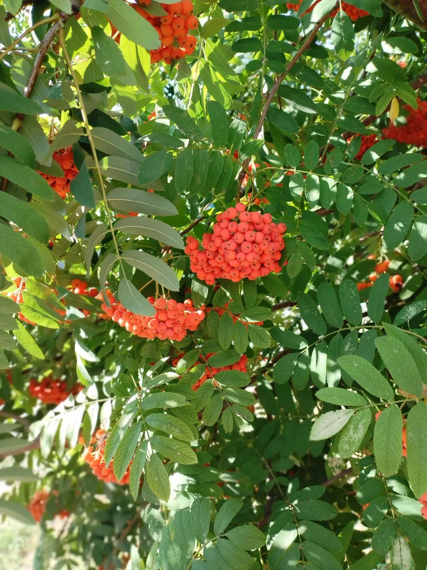 Доброе утро, друзья!☀️