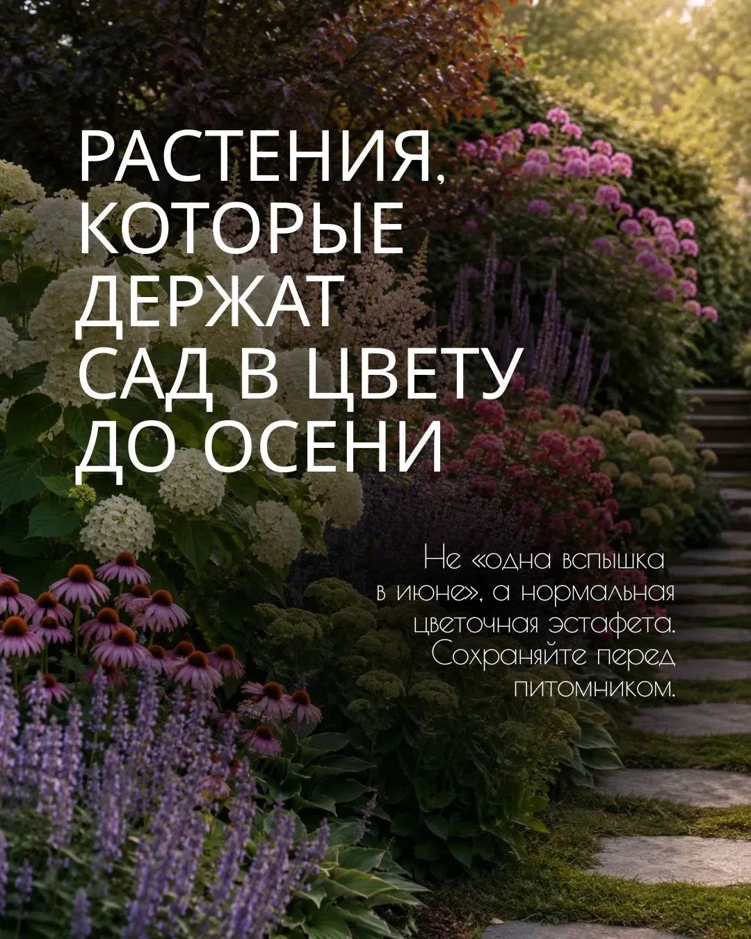 Самая частая ошибка 🌿 Купить растения, которые цветут одновременно.