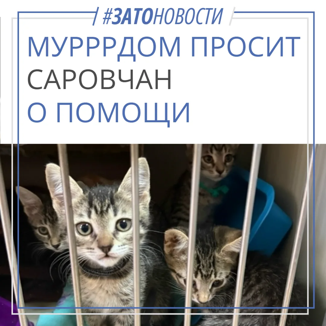 На странице «Мурррдома» появилось очередное воззвание
