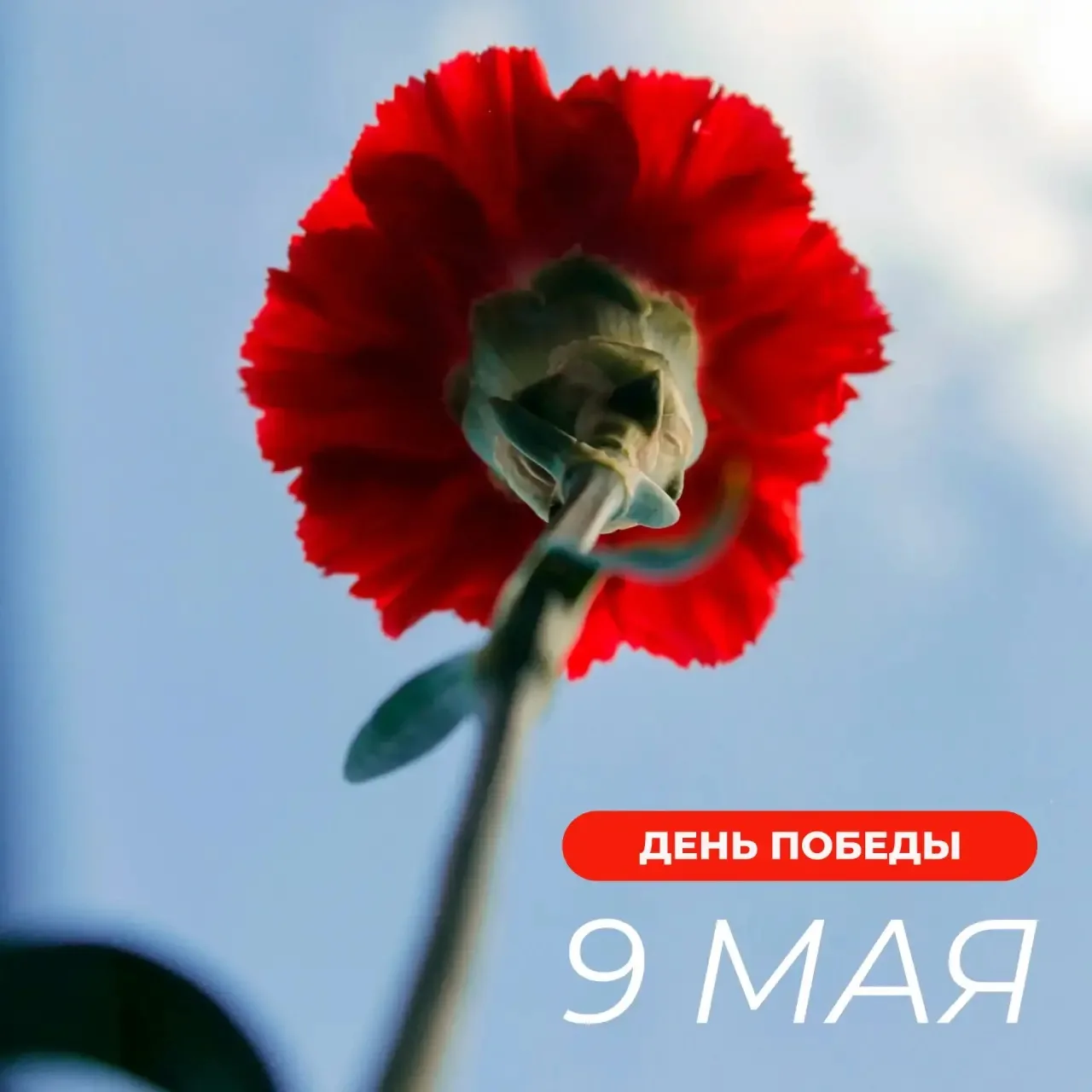 С Днём Победы!