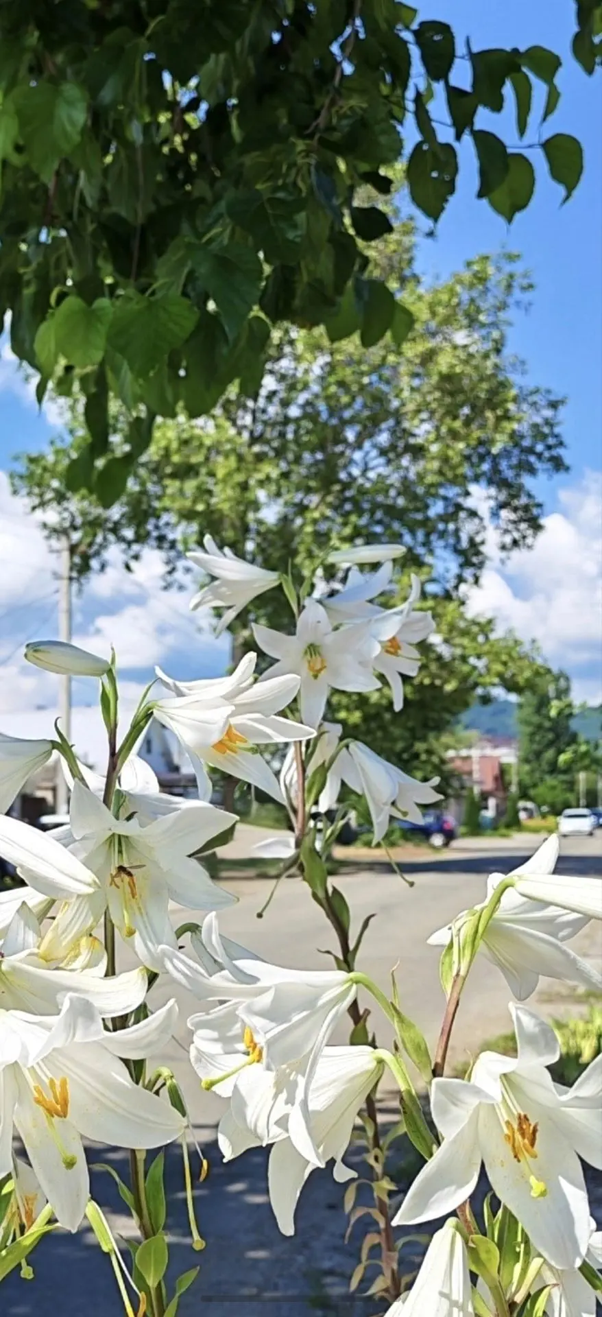 Доброго утра и лёгкого дня, Горячий Ключ! ☀️

📸 Татьяна Озерова