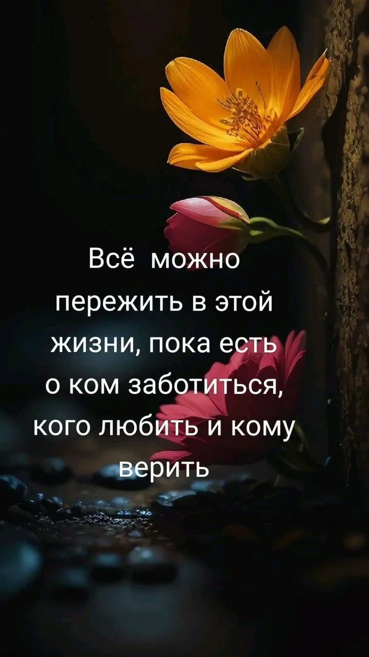 Место силы🌱Подписаться