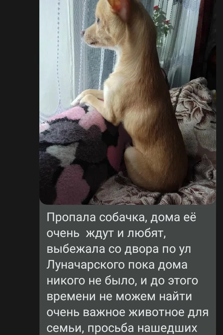 Номер  телефона  для связи 89018988929