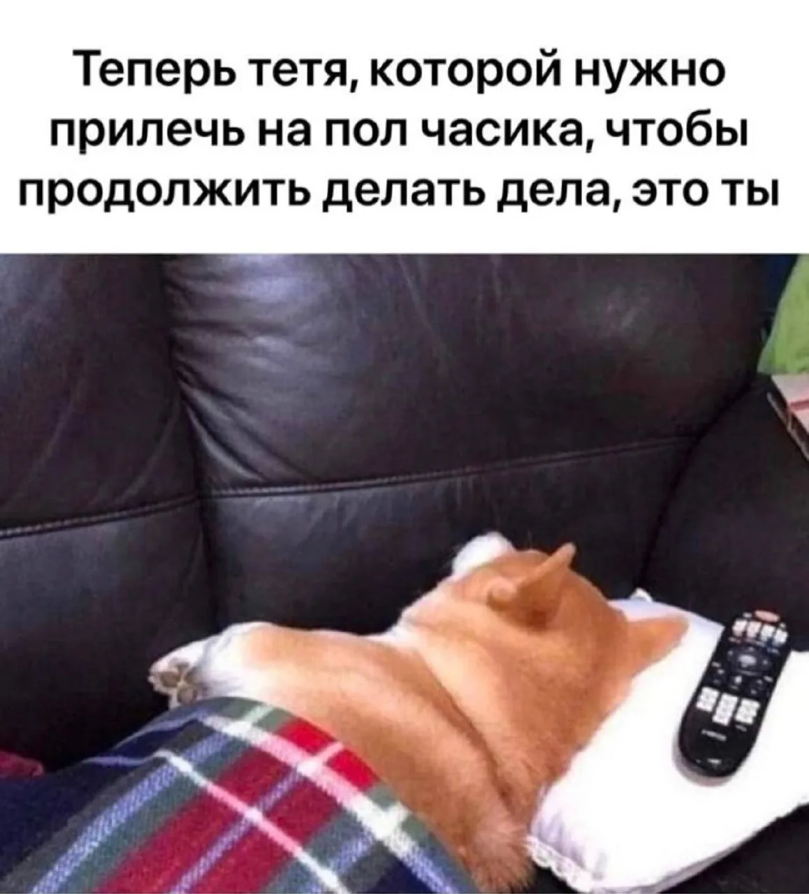 Мемы в MAX