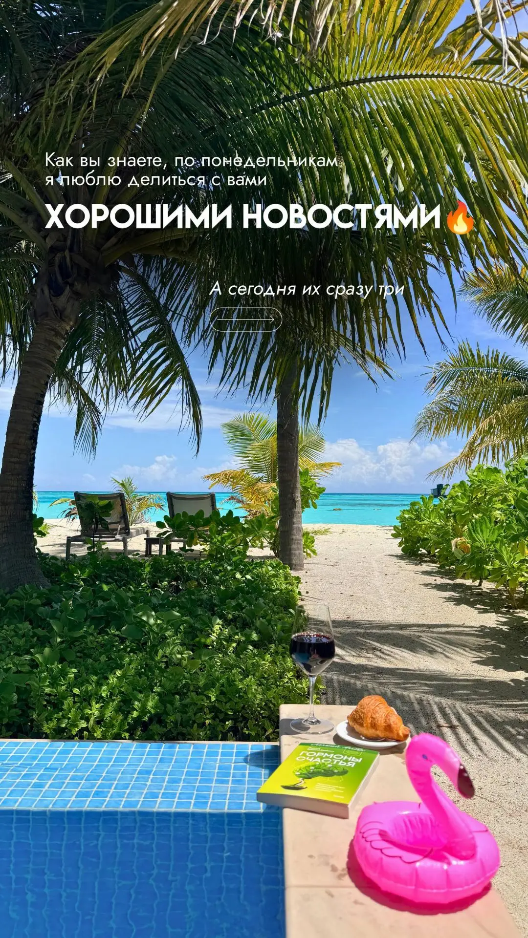 Отличные новости понедельника🖇🐬