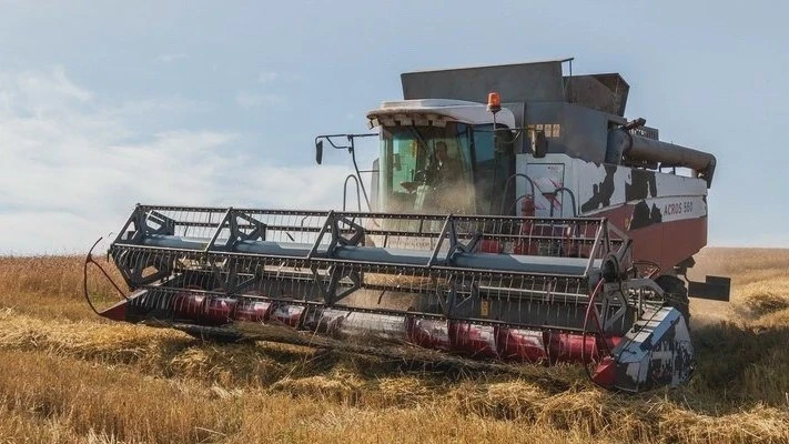 🌾 Урожайность зерновых в Приангарье прибавила почти 5%