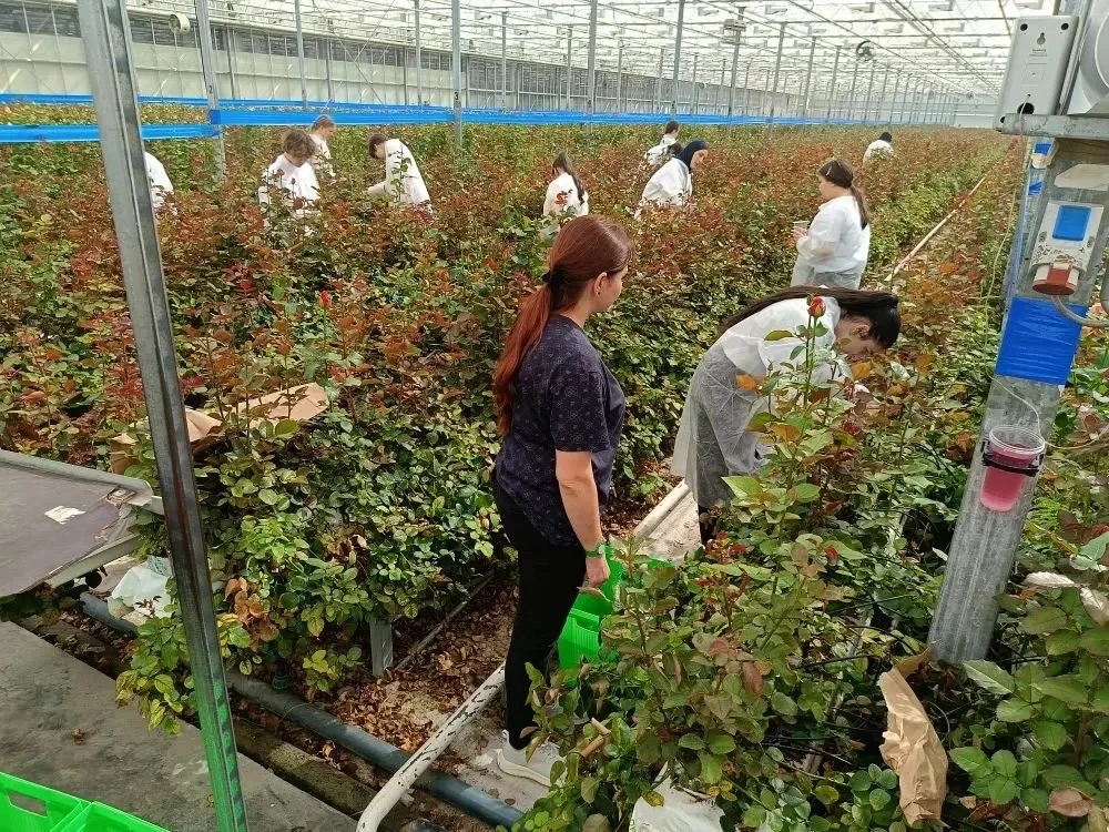 🌿На очередной практике в ТК «Зелёный дом» наши ребята из Агрокласса познакомились с тем, какие минер