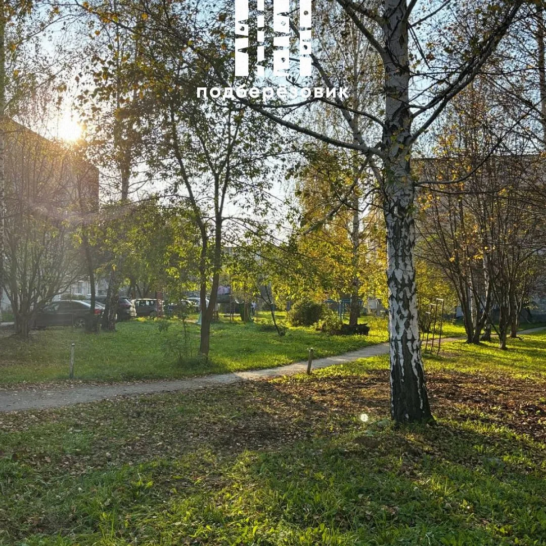 💙 Доброе утро, Берёзовский!