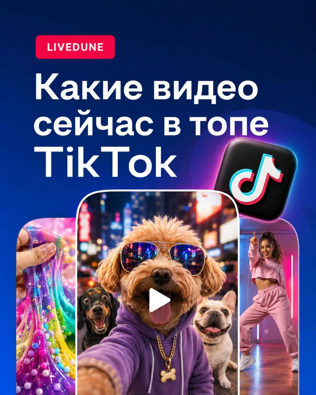 🐴 TikTok появился в разделе Тренды. А это значит, что можно зайти в LiveDune и, прямо ...