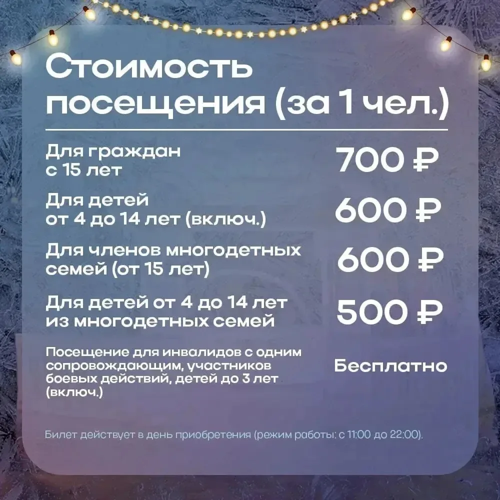 30 декабря открылся «Ледовый городок» на Михайловской набережной  В этом году для новосибирцев и гос