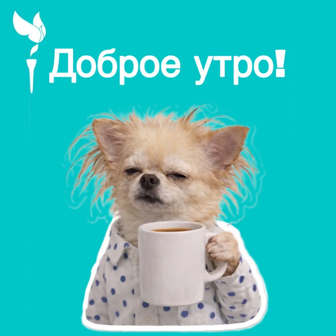 ☀️Доброе утро!