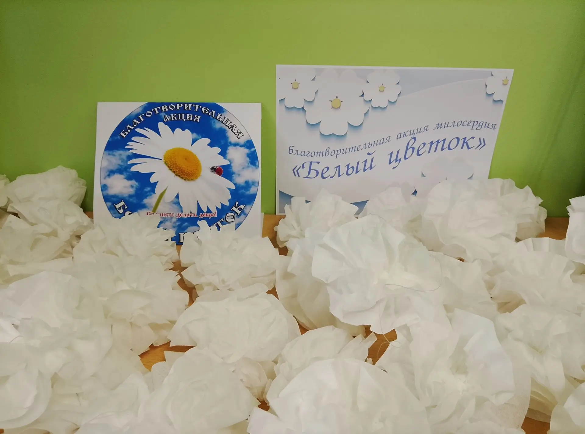 Акция «Белый цветок»: учимся милосердию на практике