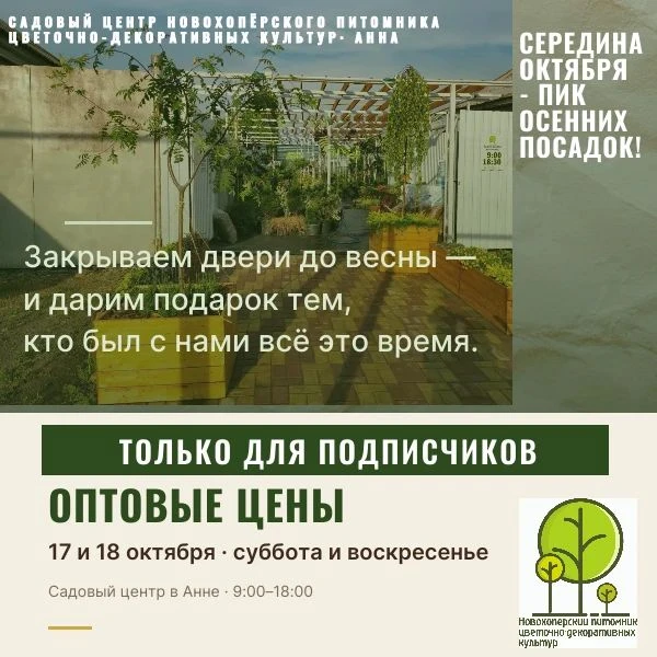 🎁 ПОДАРОК ПЕРЕД ЗАКРЫТИЕМ СЕЗОНА — ДЛЯ НАШИХ ДРУЗЕЙ!