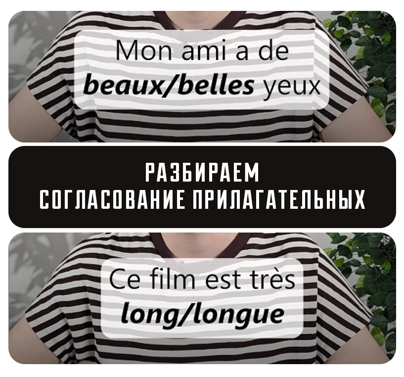 🇫🇷 Согласование прилагательных: разбор интерактива
