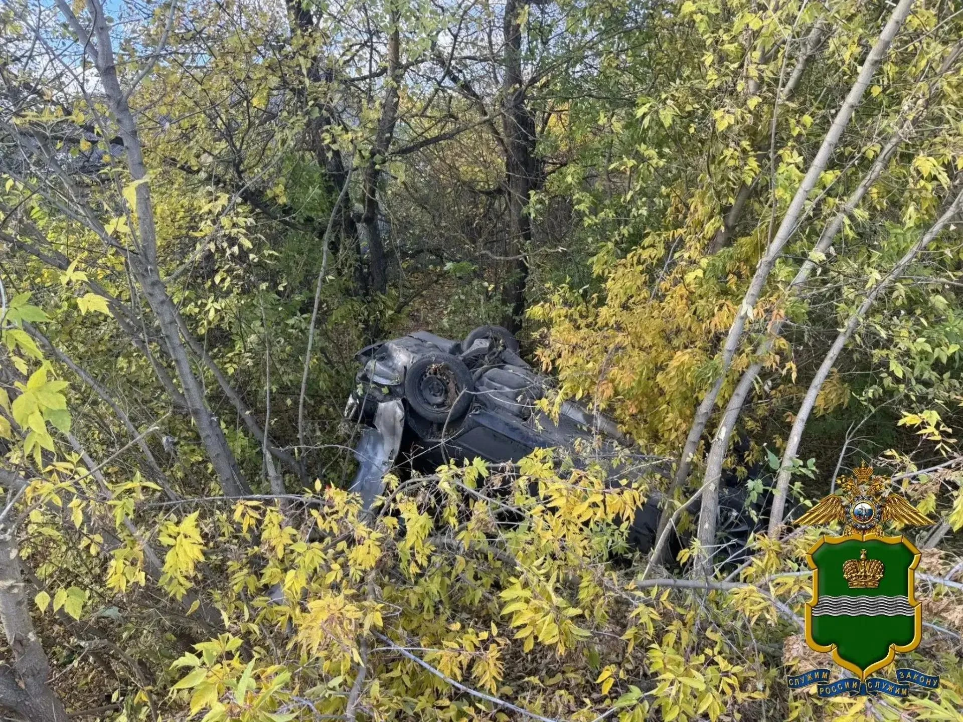 Женщина и ребенок погибли на калужской трассе
