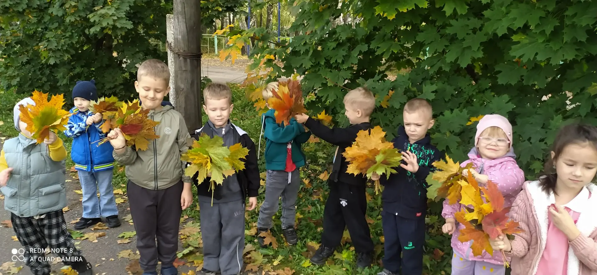 Золотая осень в самом разгаре! 🍂