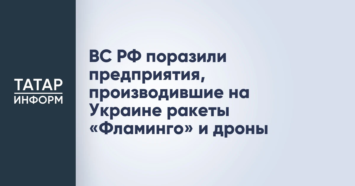 ВС РФ поразили предприятия, производившие на Украине ракеты «Фламинго» и дроны