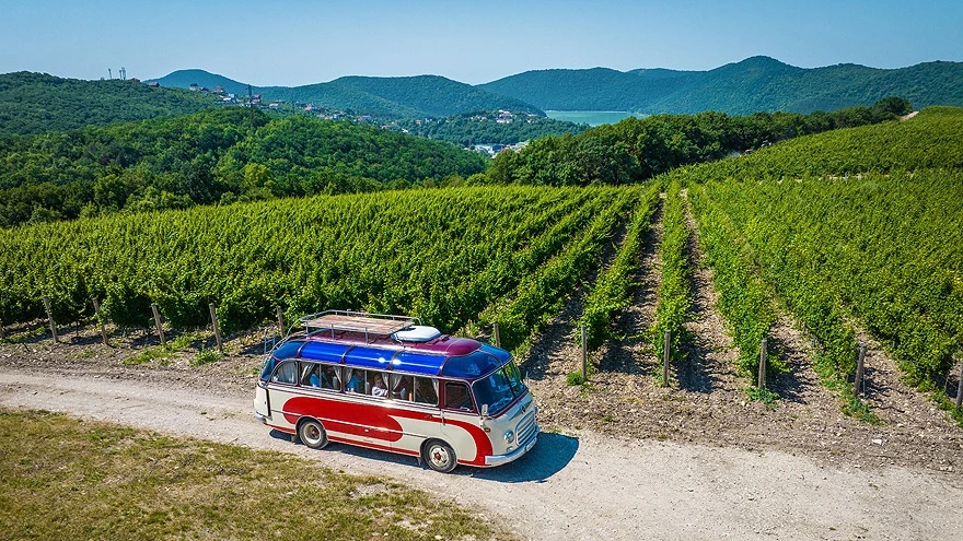Чайки, море и вино 🍷 

🍇 Тамань, Новороссийск, Геленджик - погружение в мир элегантных вин и целых