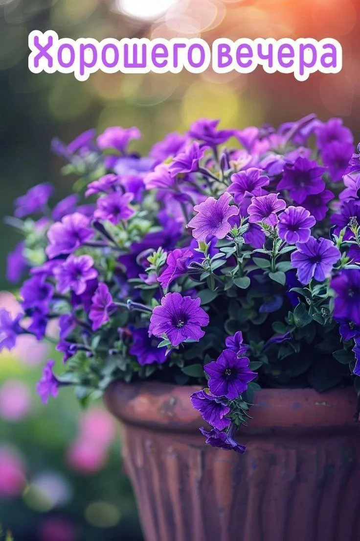 🌿💜🌿💜🌿💜🌿💜🌿💜