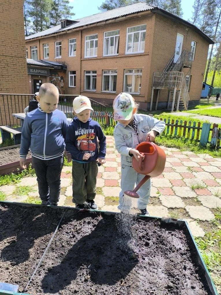 В теплый весенний день группа «Солнышко» высадила в огороде картошку, морковь и свеклу. Дети знают, 