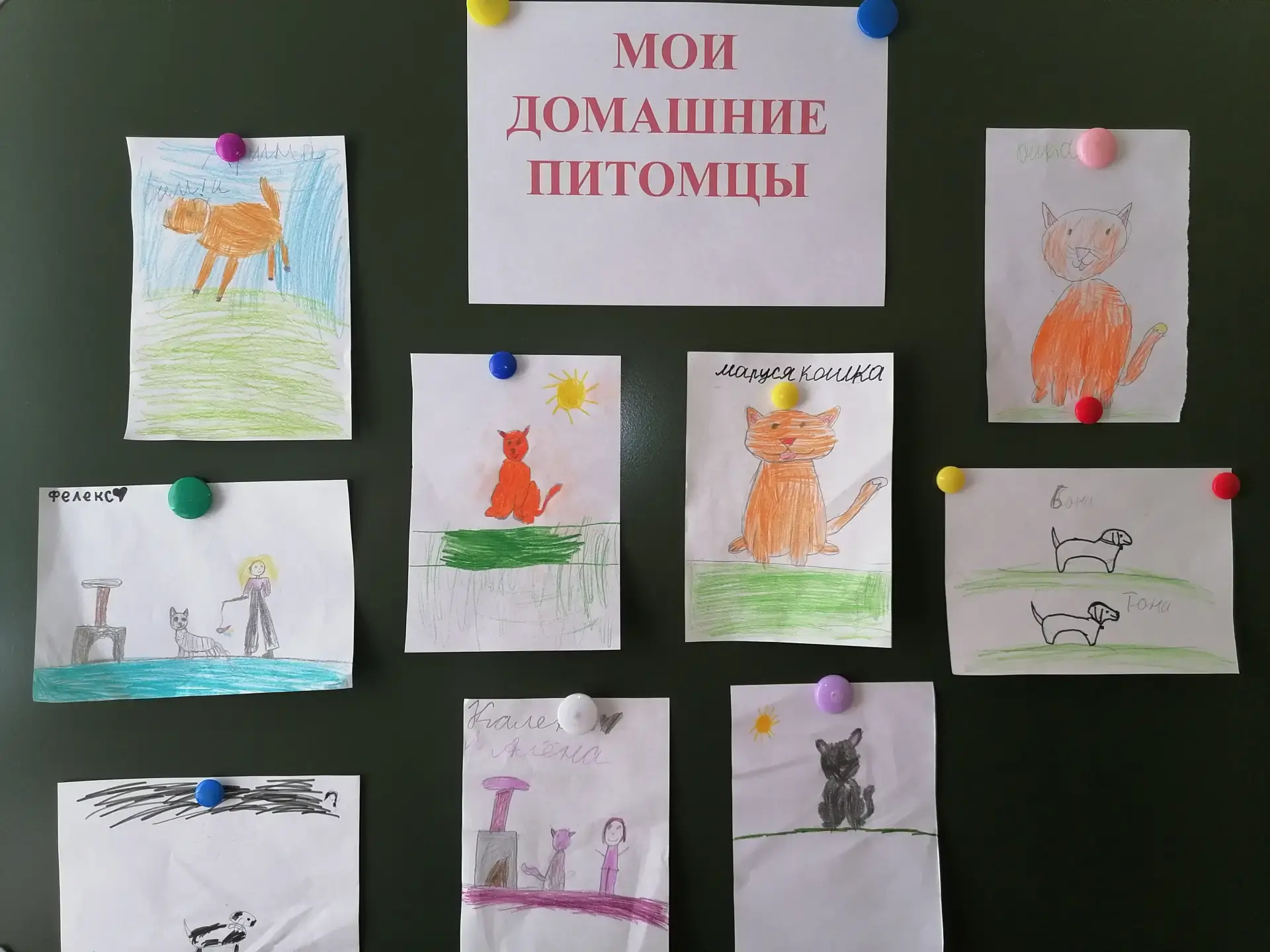 В группе "Непоседы" проведено мероприятие "Мой любимый питомец". Ребята высказали свое мнение, зачем