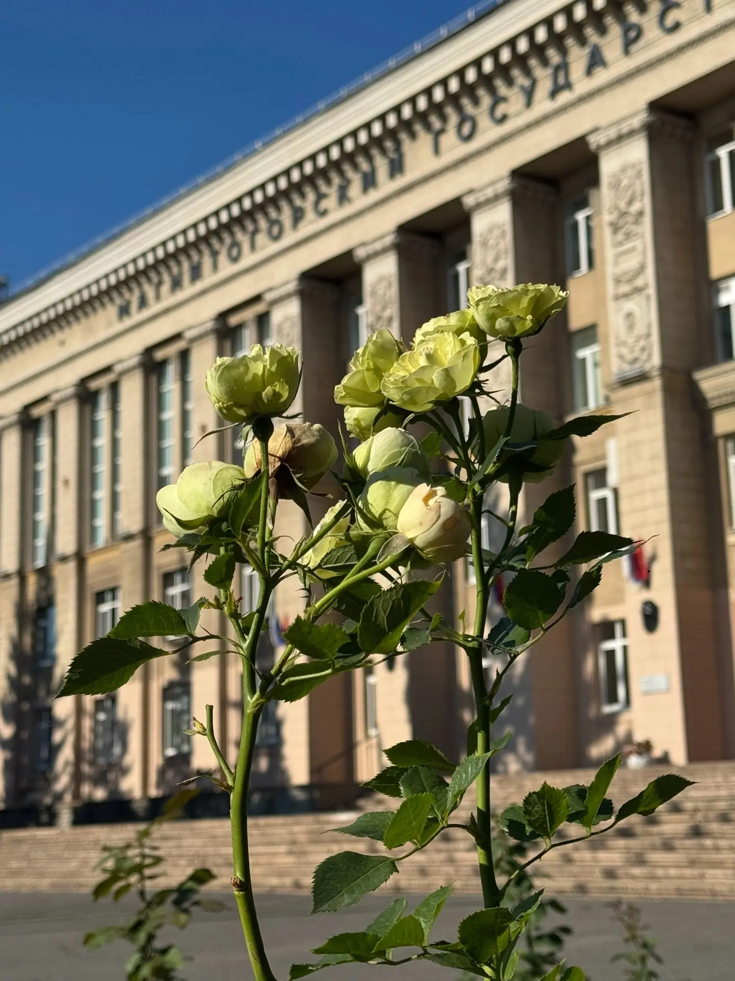 Доброе солнечное утро в #МГТУимНосова!

Сегодня понедельник, лето и +33°С. Проводите этот день с пол