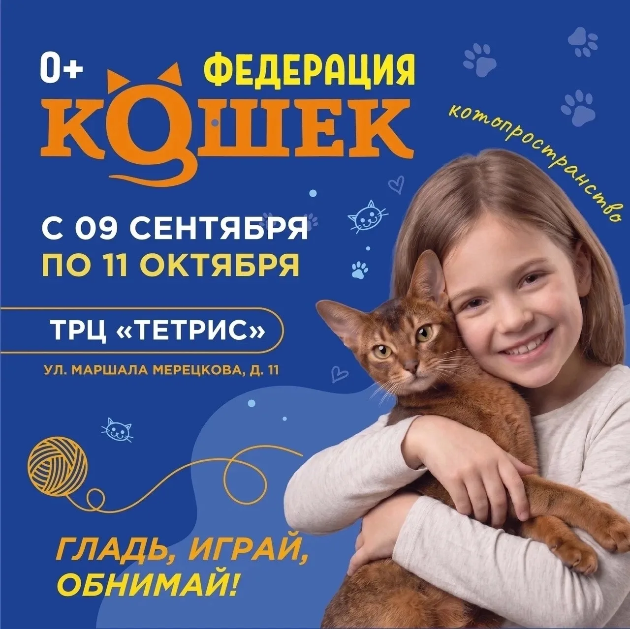 🐾 В Петрозаводске откроется котопространство «Федерация кошек»