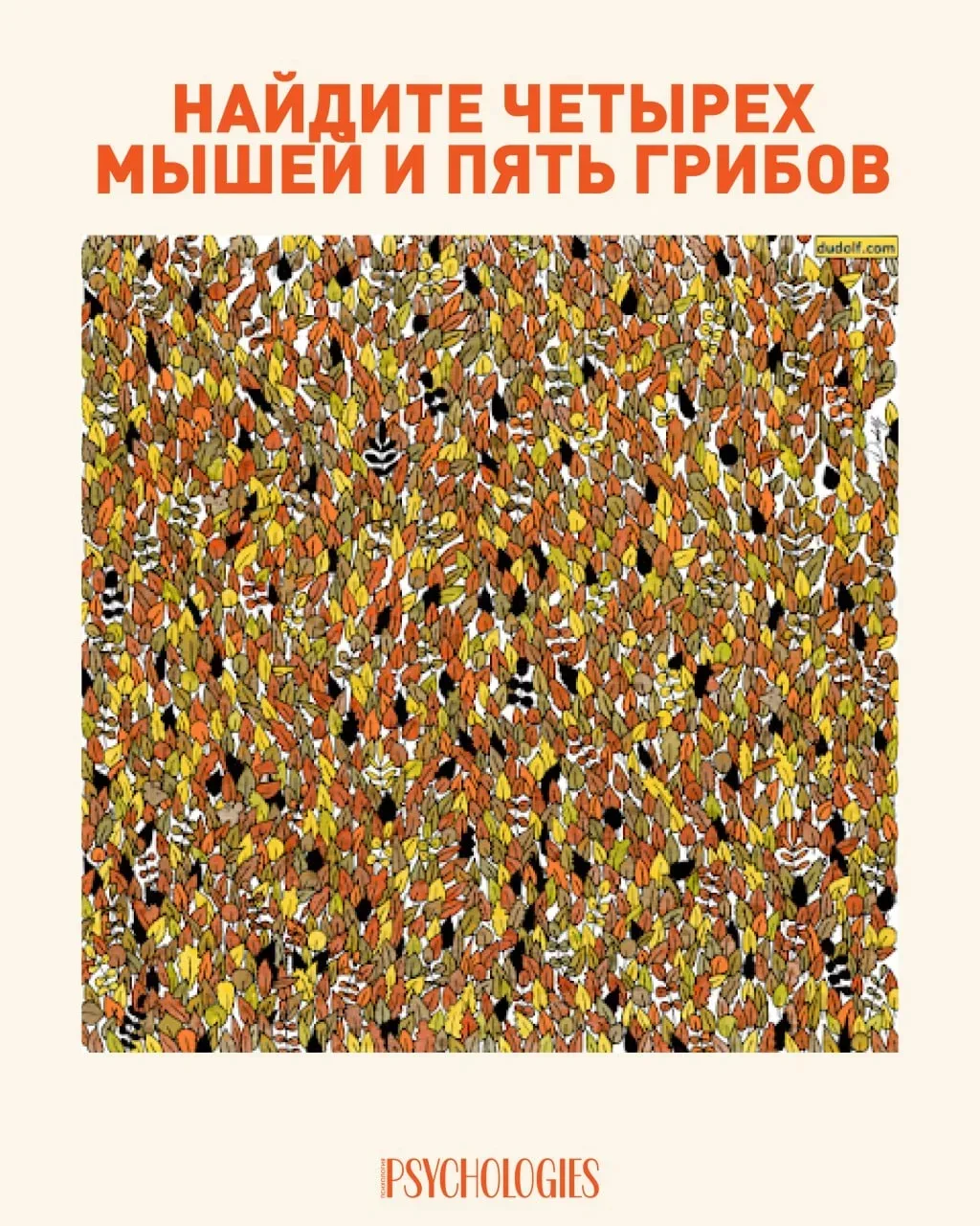А вы смогли найти?