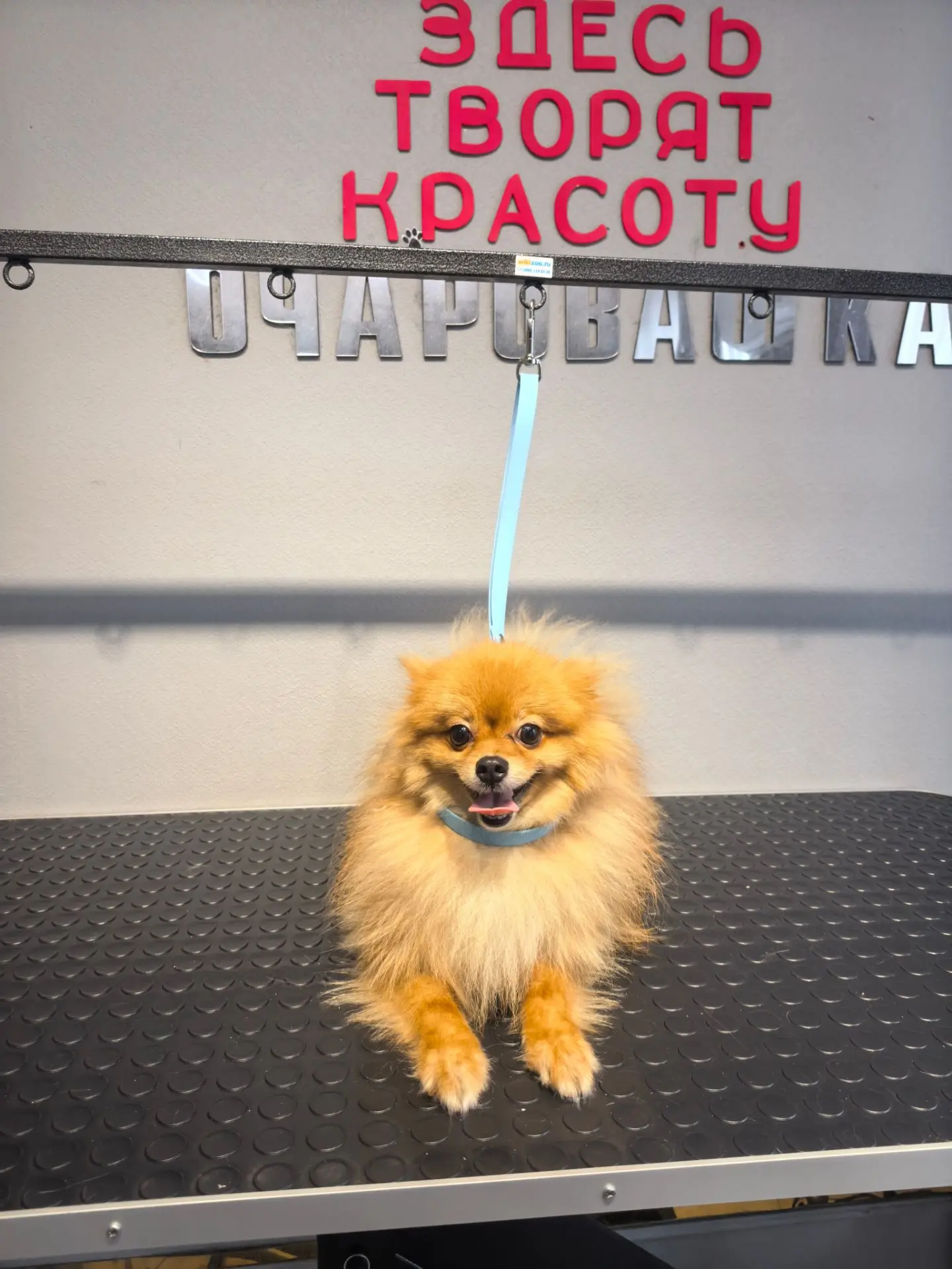 Сегодня я наконец начала работать