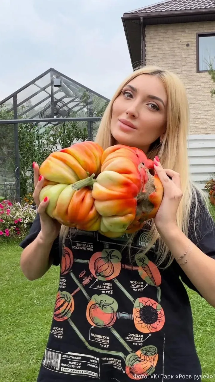Изображение 1 к публикации «Пятый канал | Новости»
