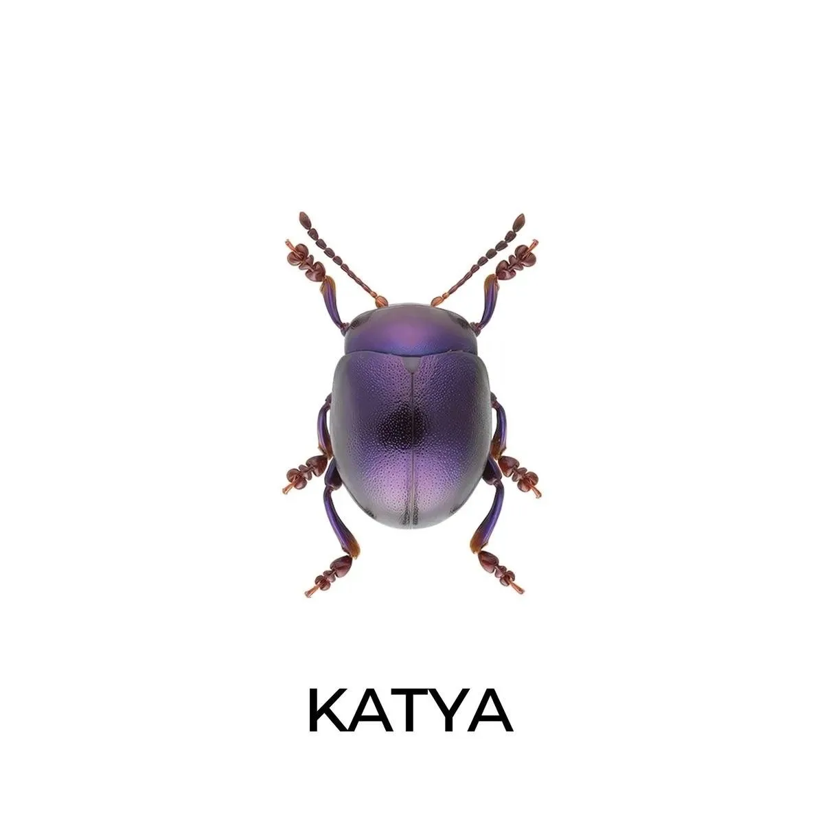 кидай кате