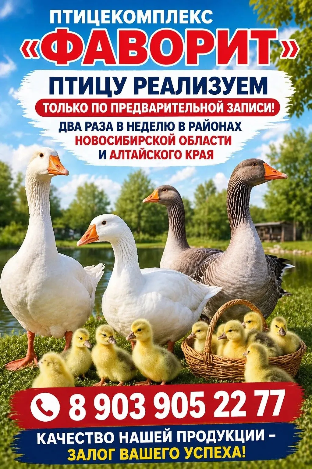 Начало мая — идеальный старт для вашего подворья! 🌿🦢