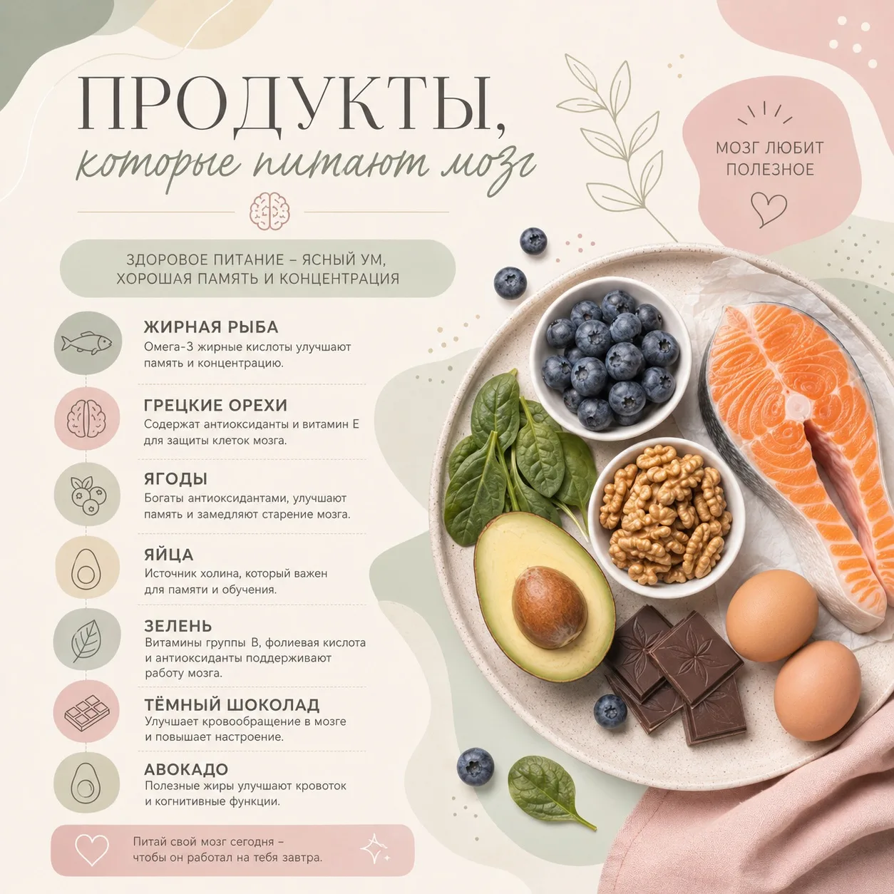 🧠 ПРОДУКТЫ, КОТОРЫЕ ПИТАЮТ МОЗГ