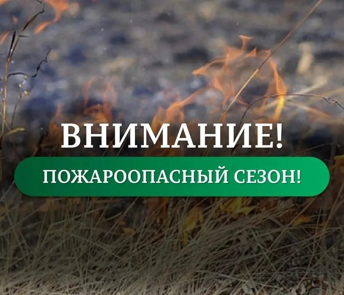 ⚡В лесах Нижегородской области с 24 апреля установлен пожароопасный сезон.🔥