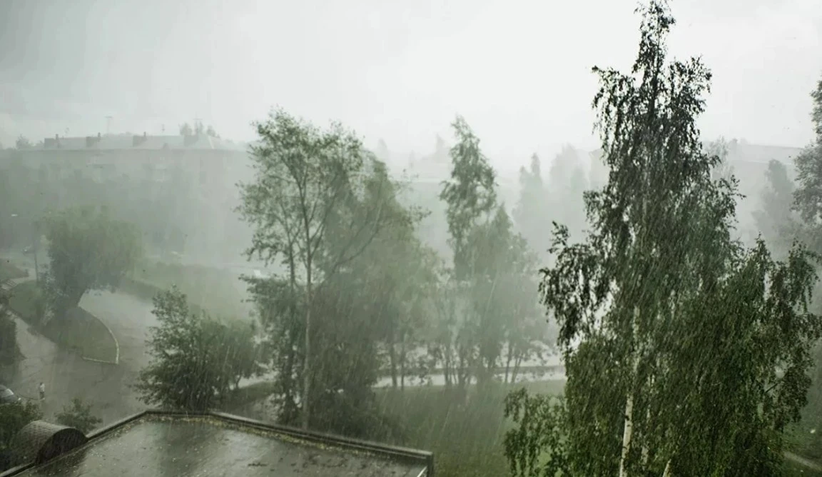 ⛈️ Штормовое предупреждение: на регион надвигаются грозы с градом и сильным ветром

По данным синопт