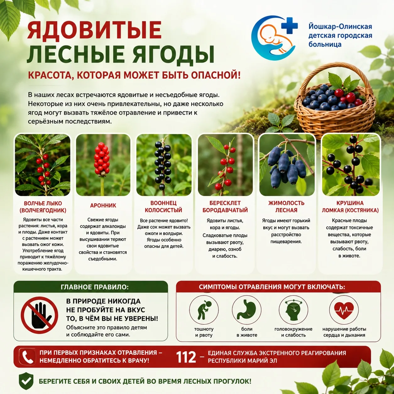 🍒 Ядовитые лесные ягоды: красота, которая может быть опасной
