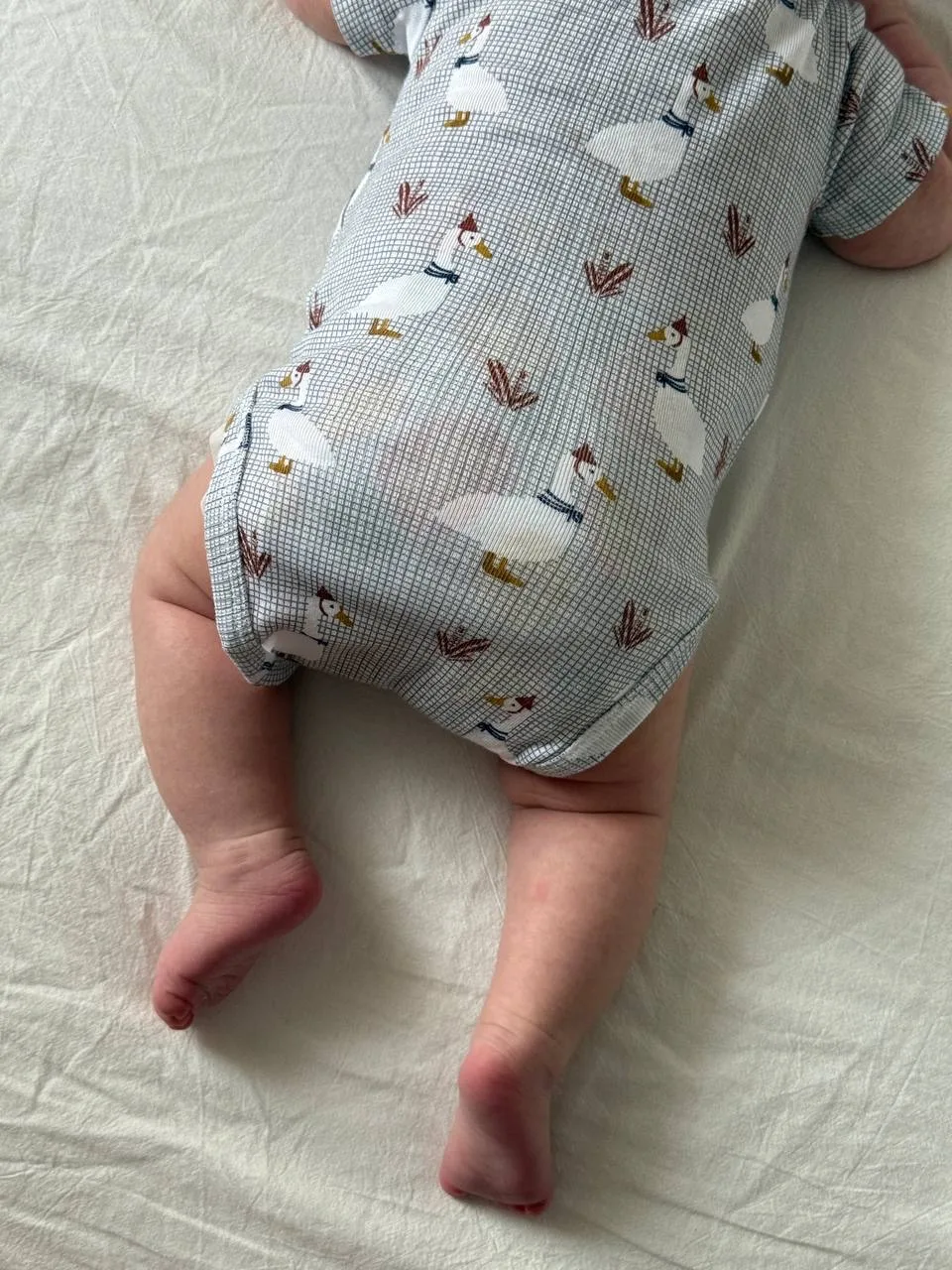 У меня две малышки🤗🥰  Кристи иногда копирует Полю, думаю так она показывает, что ей тоже хочется так