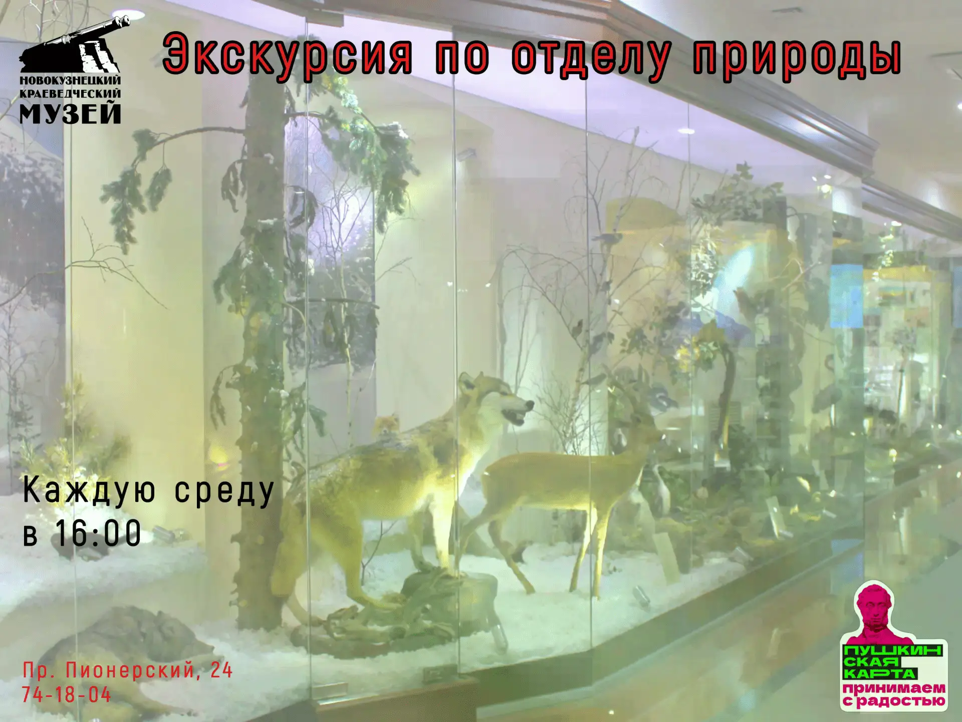 Откройте для себя историю родного края — ярко, доступно и бесплатно по Пушкинской карте! Краеведческ