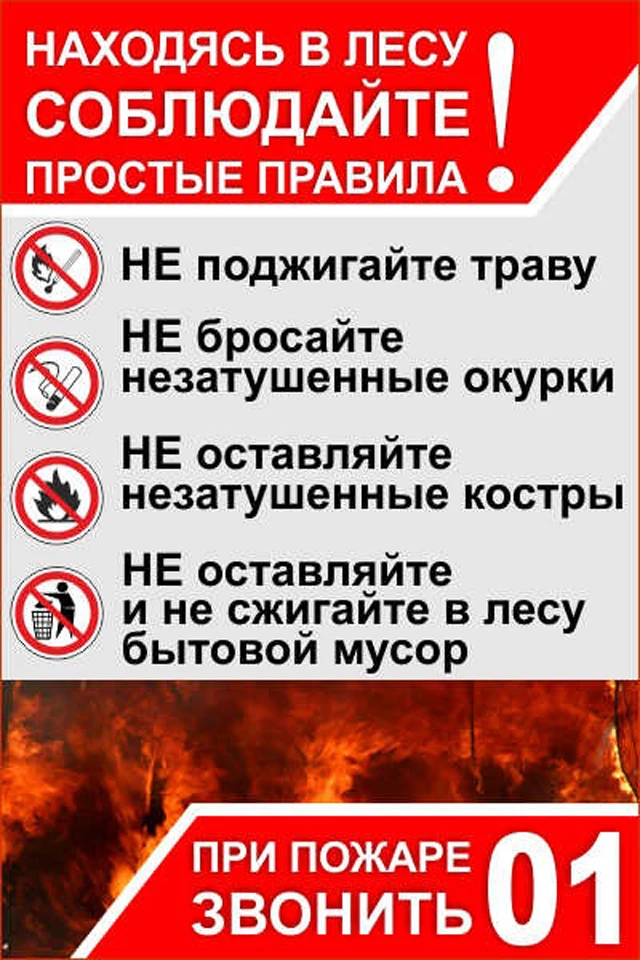 Сотрудники ГБУ ЛНР «Ивановского лесоохотничьего хозяйства» продолжают осуществлять меро...