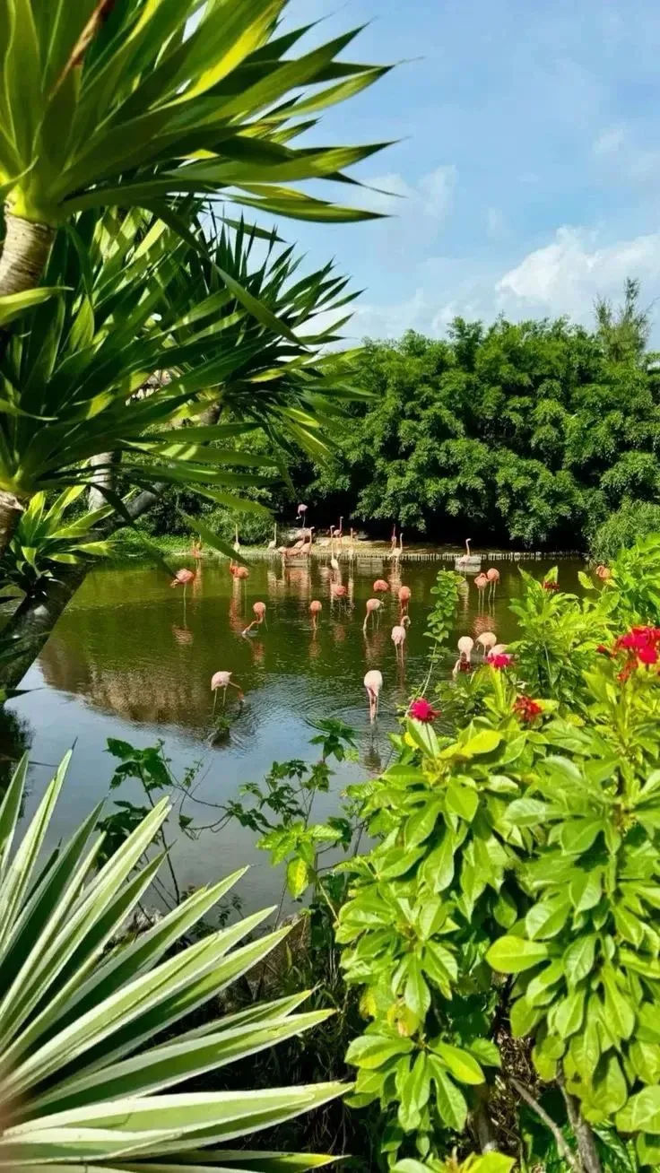 Фукуок — раннее бронирование уже открыто✈️🌴