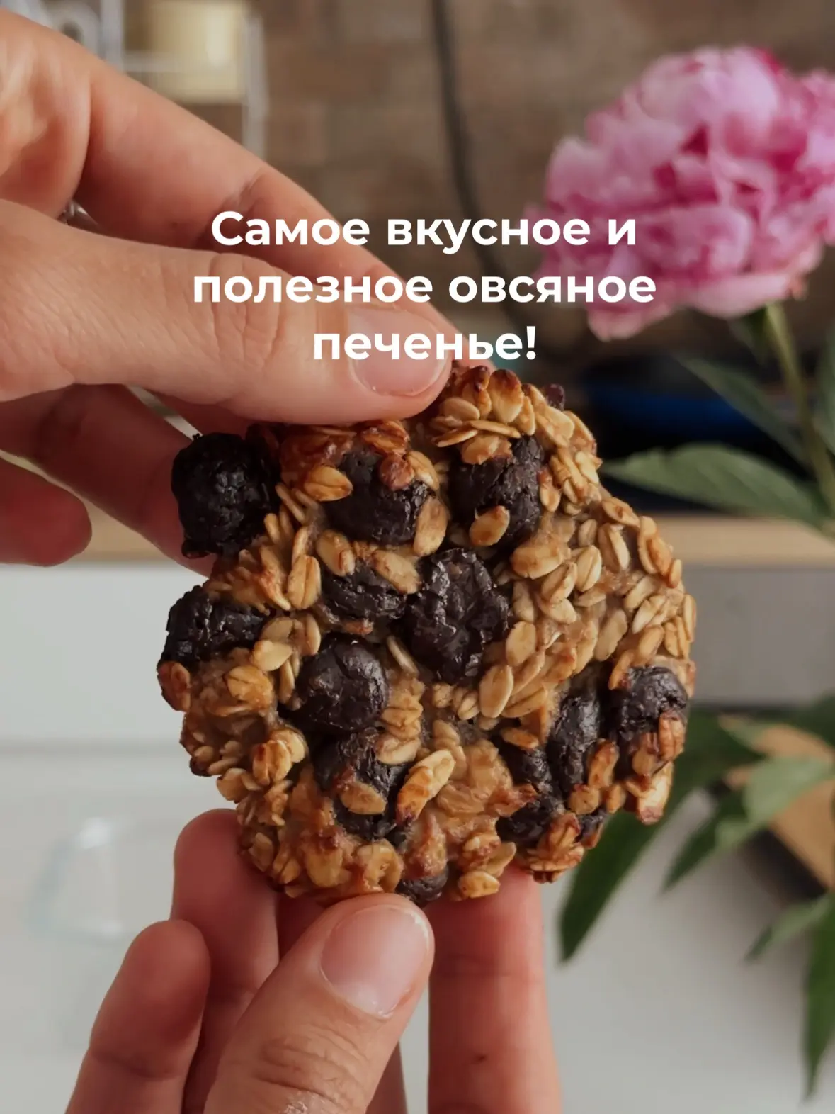 Когда хочется печенек - это лучший вариант! Быстро, просто, вкусно! 🍪
Все же любят?)
Готовила овсян