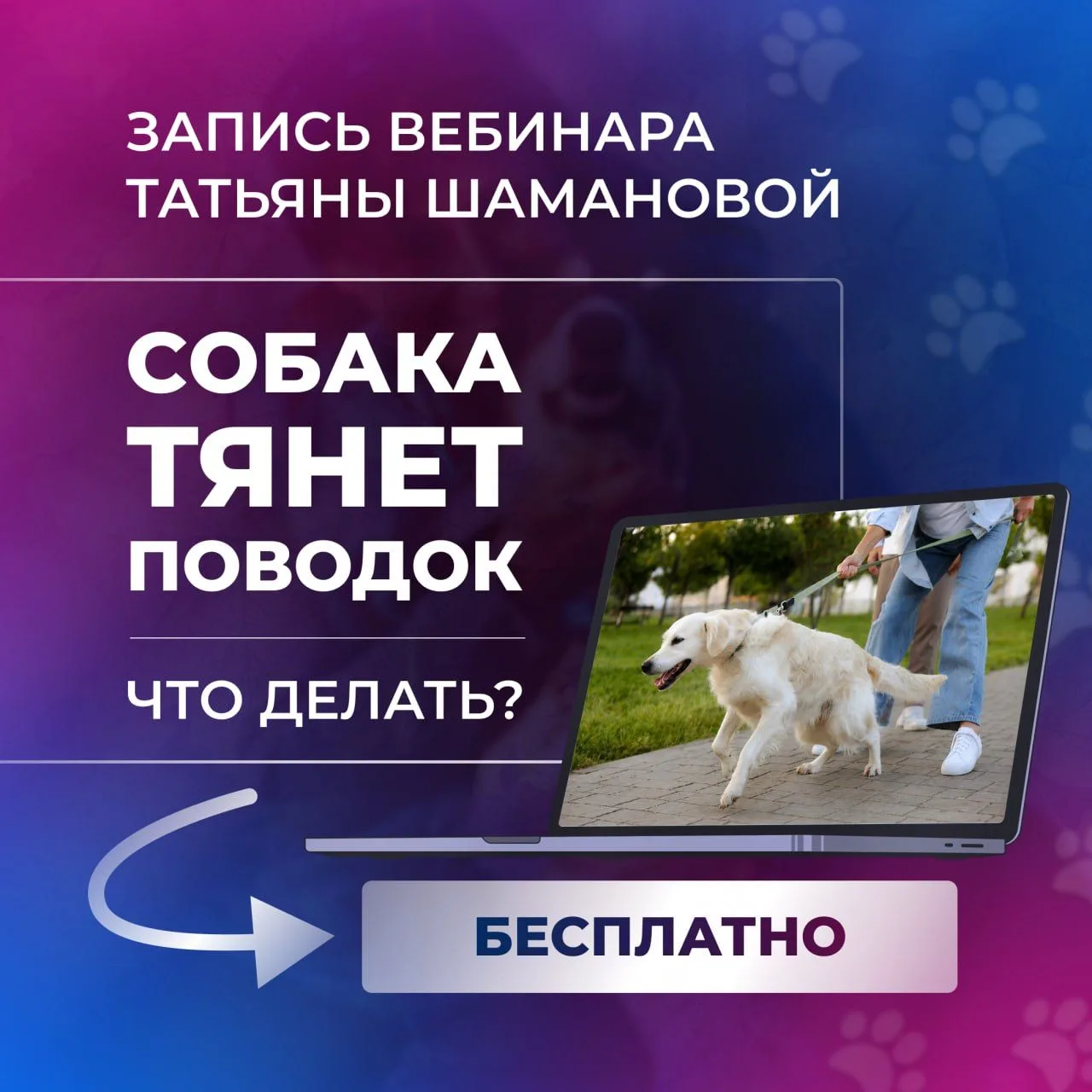 Запись вебинара “Собака тянет поводок. Что делать?” Татьяны Шамановой для вас. 
⏰ Бесплатно нескольк