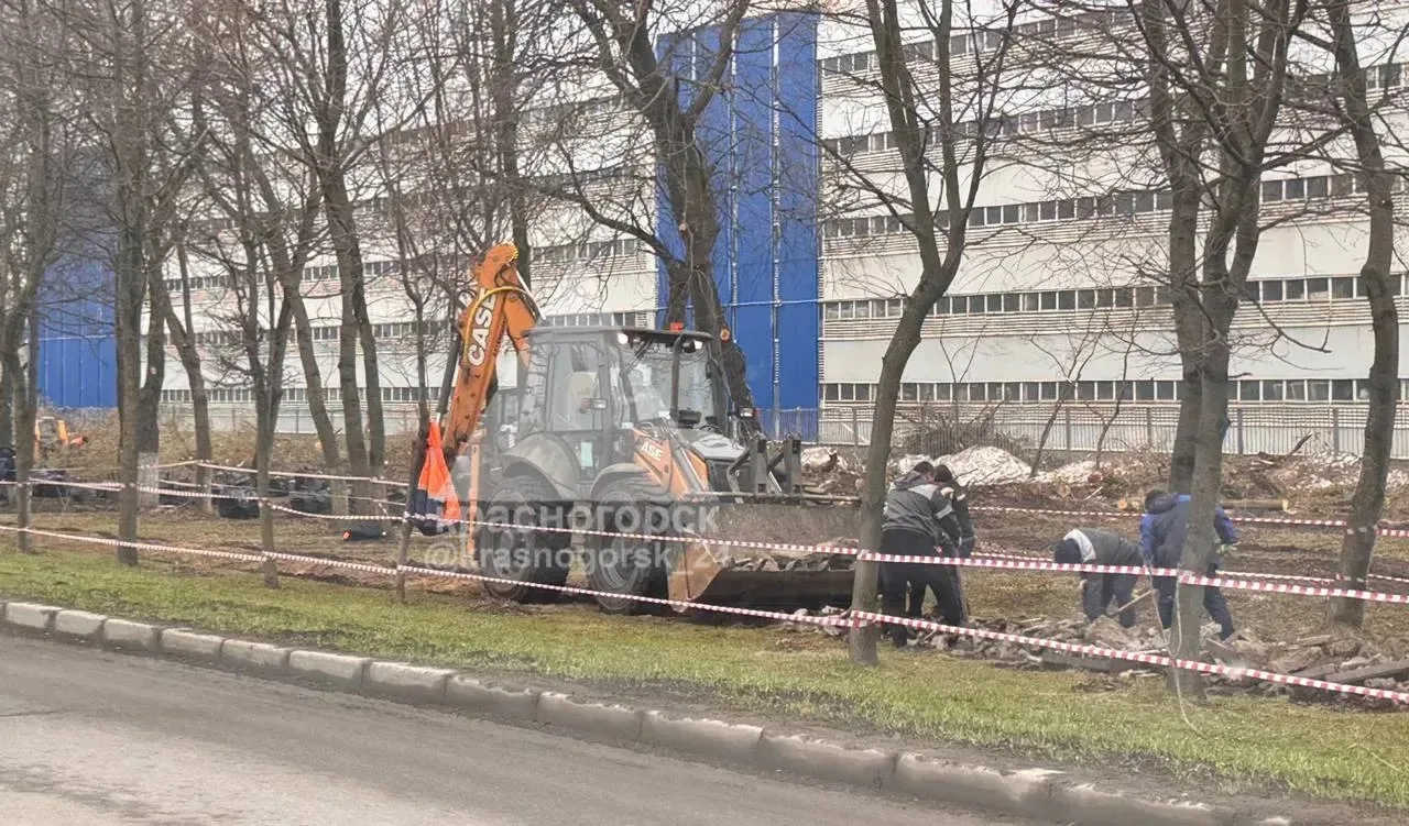 🪓 На Ильинском шоссе в Красногорске началась вырубка деревьев  Зелёные насаждения вырубают между ост